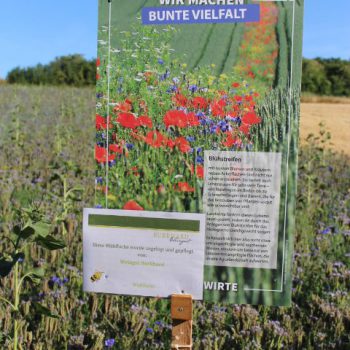 Schild Blühflächen